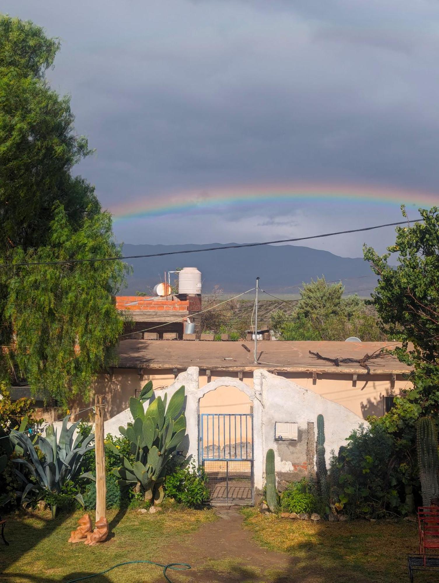 Cachí Casapueblo Bed & Breakfast エクステリア 写真