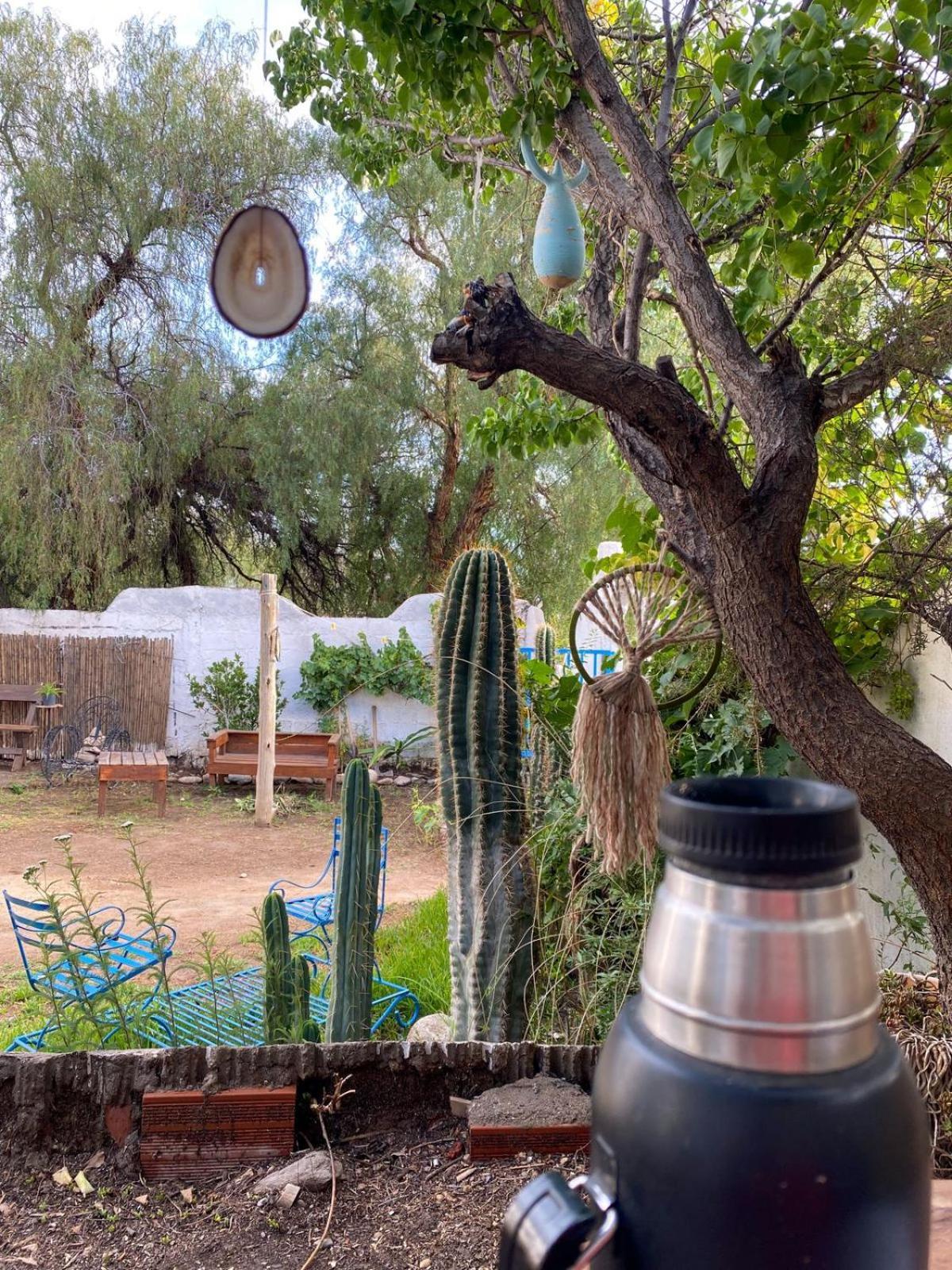Cachí Casapueblo Bed & Breakfast エクステリア 写真